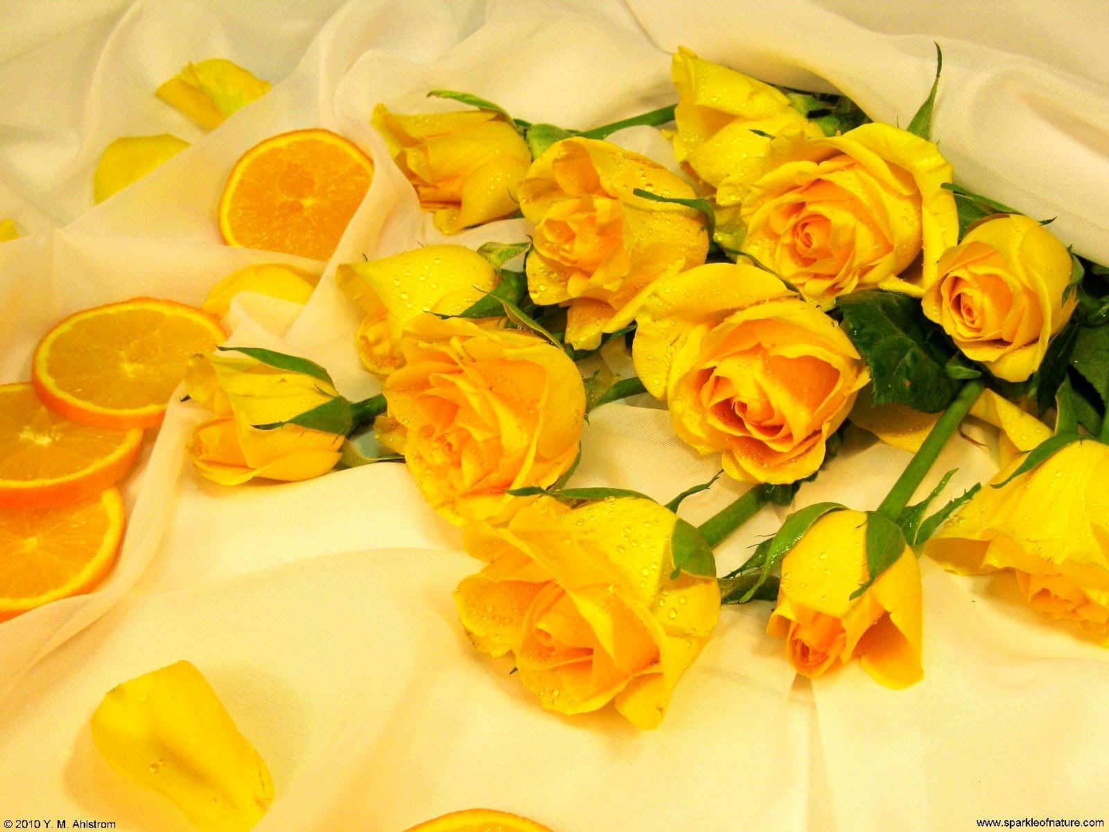 20091_oranges_and_yellow_roses_1600x1200.jpg