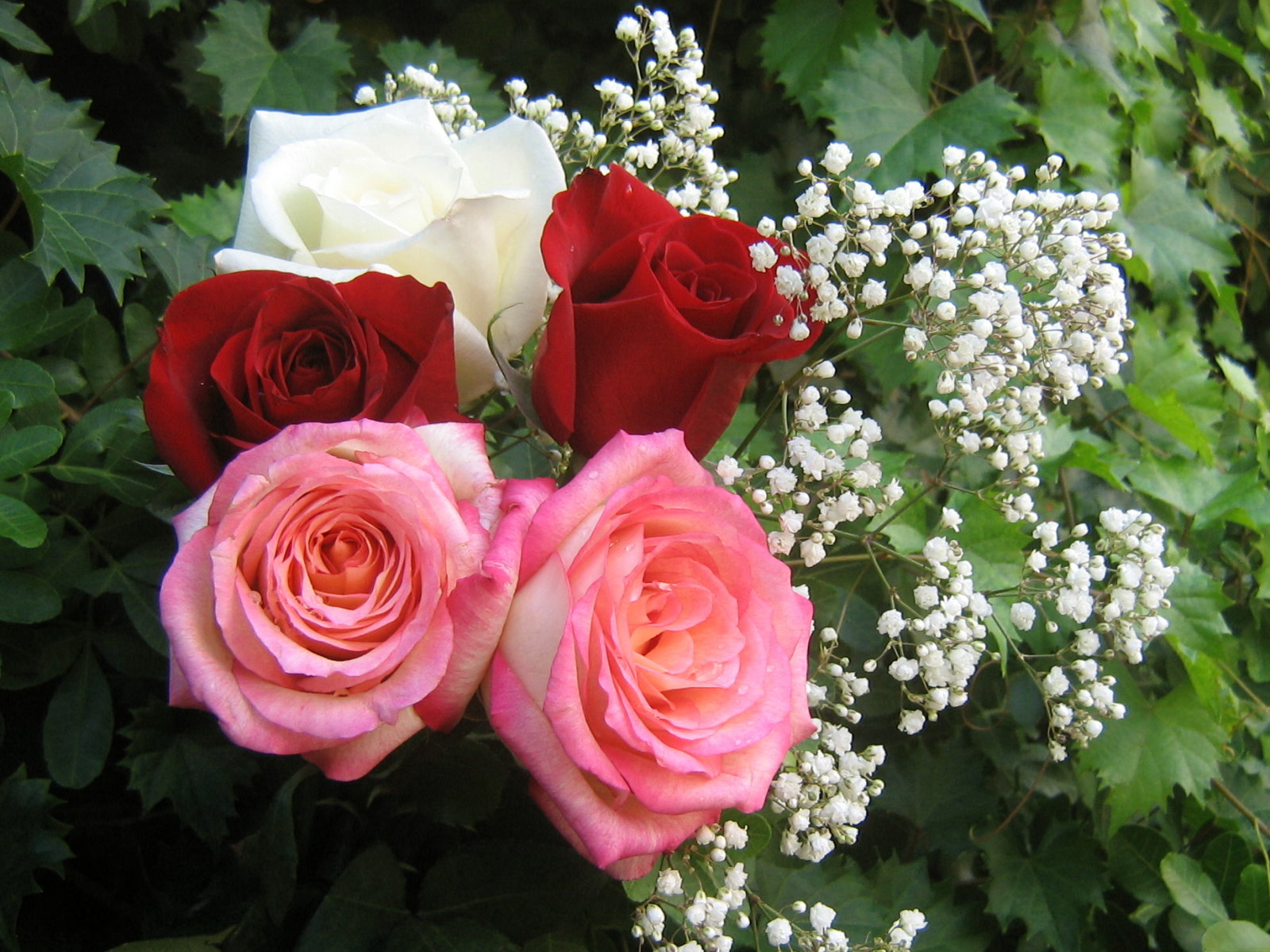 roses_bouquet_3541.jpg