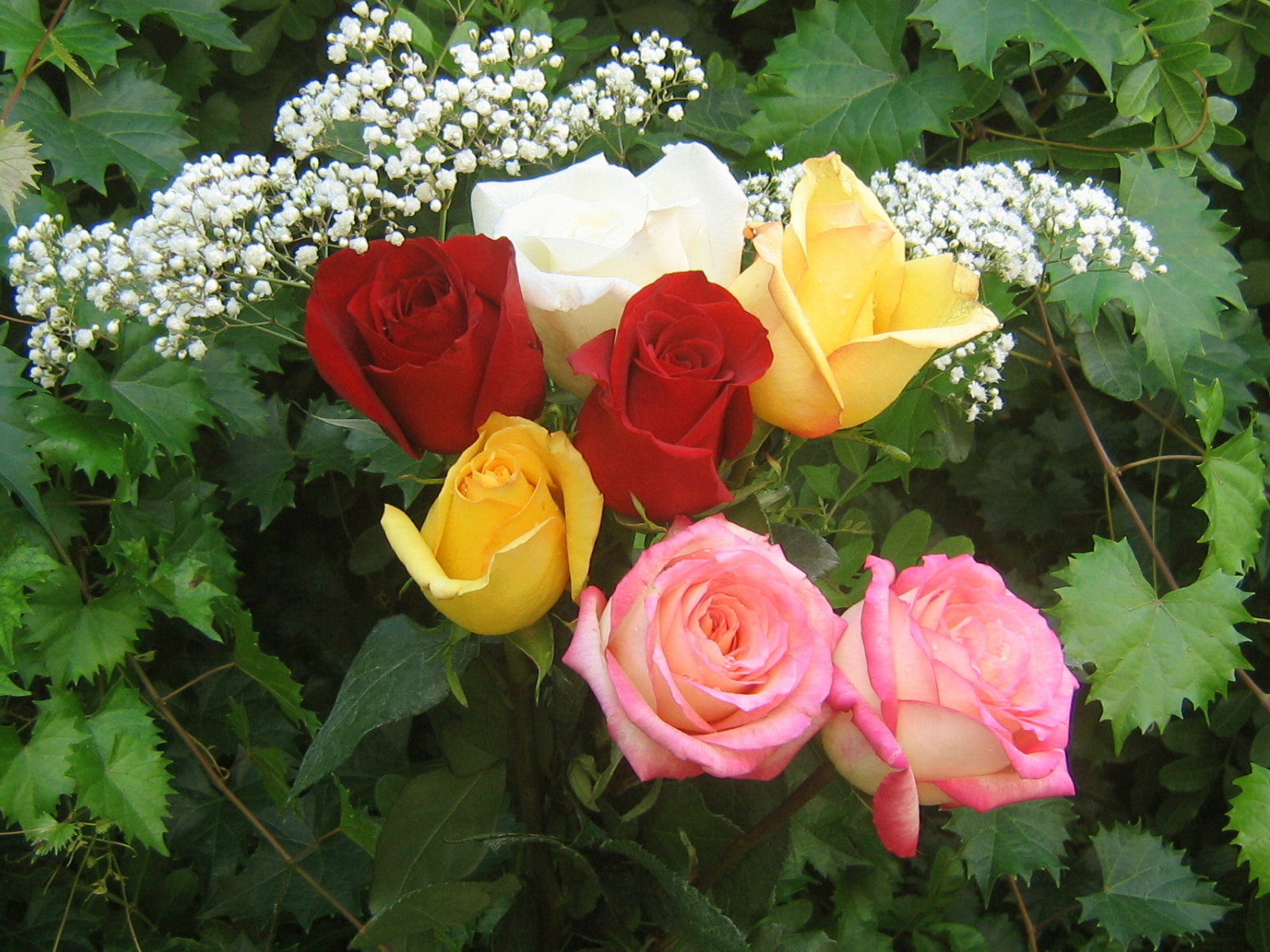 roses_bouquet_3546.jpg