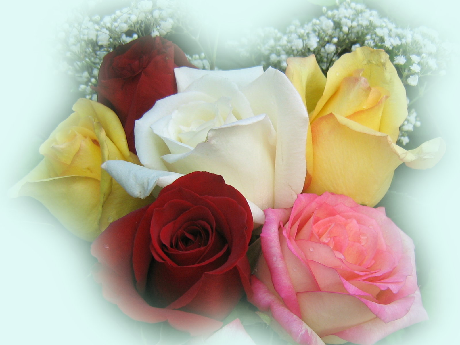 roses_bouquet_3550.jpg