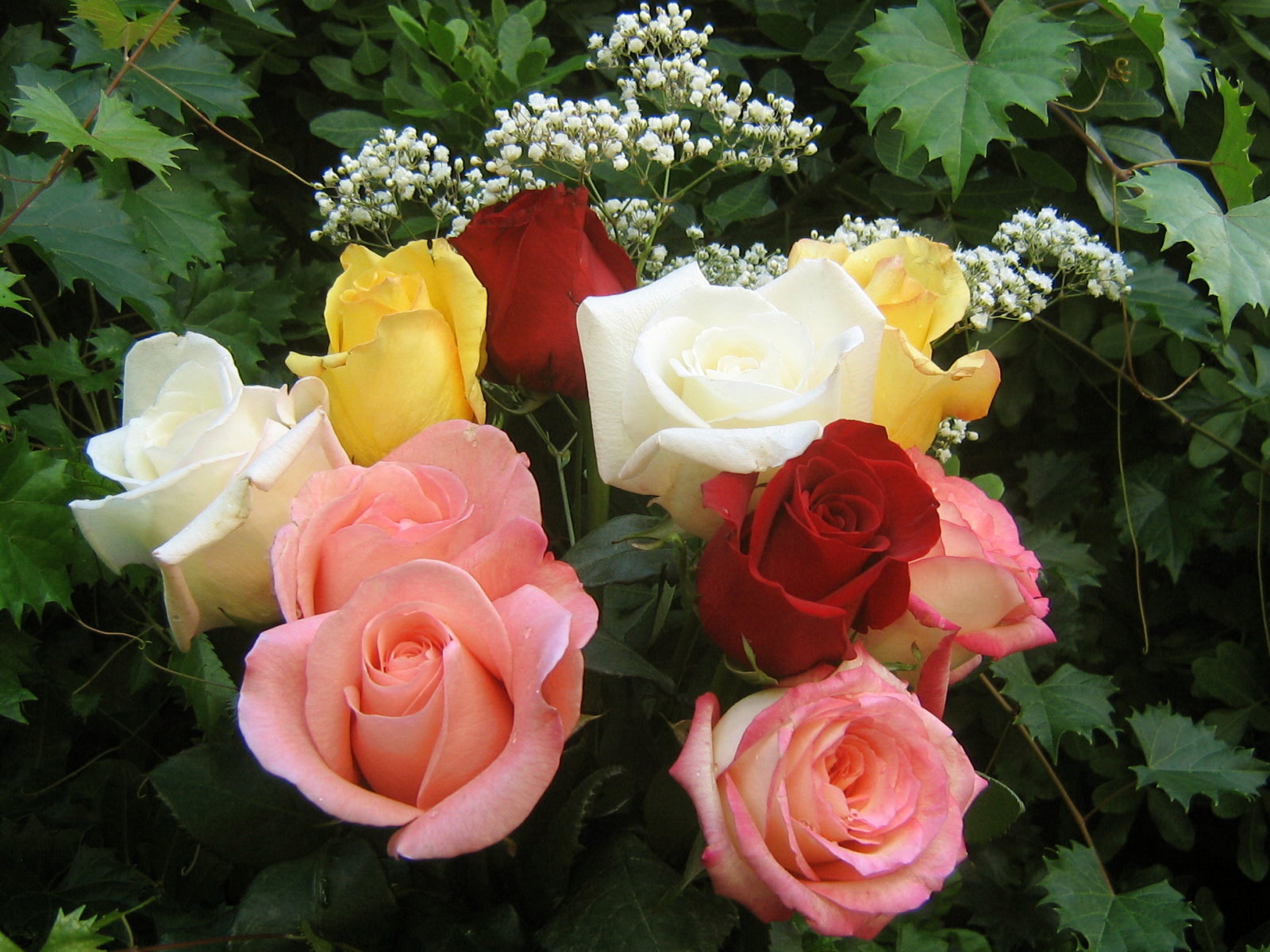 roses_bouquet_3551.jpg