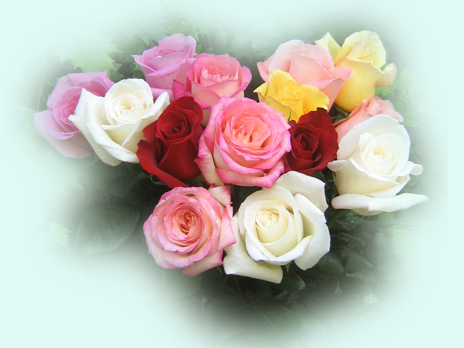 roses_bouquet_3565.jpg