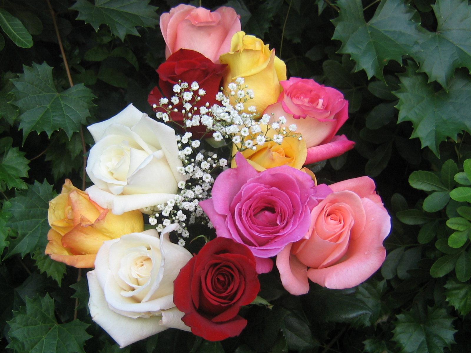 roses_bouquet_3597.jpg