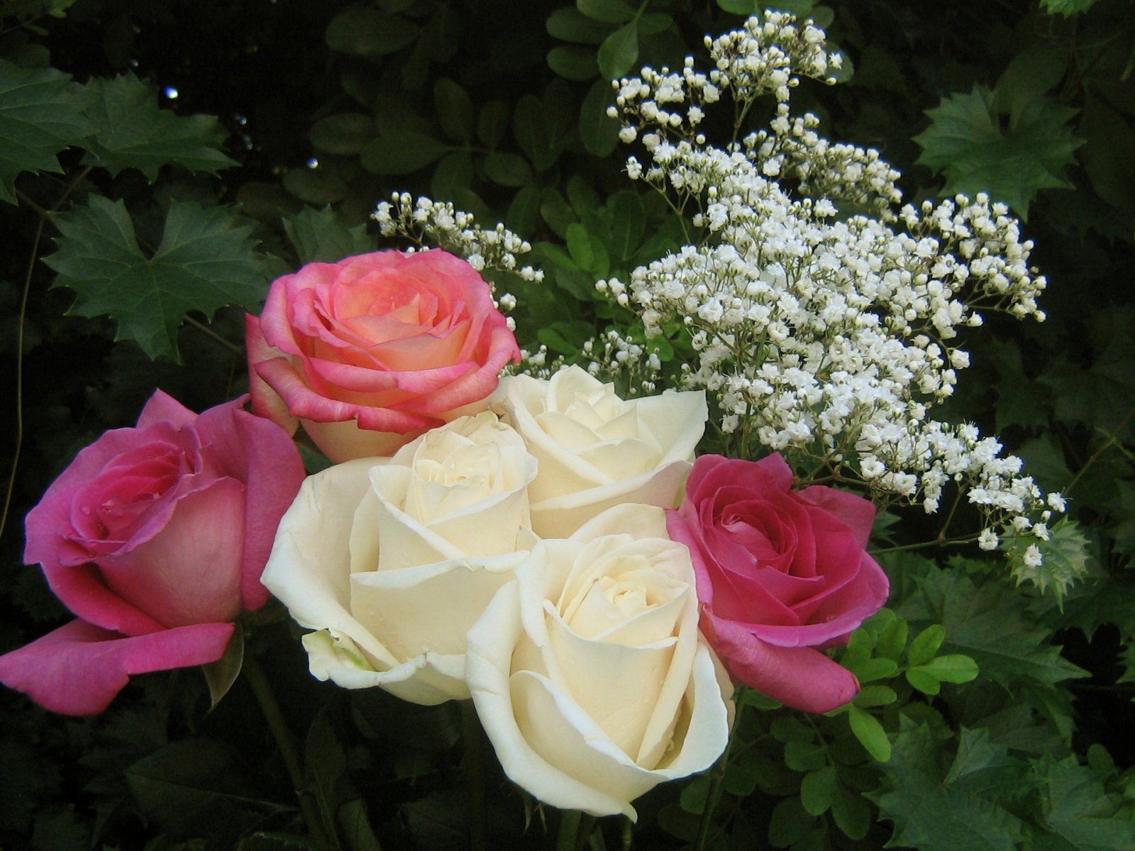 roses_bouquet_3602.jpg