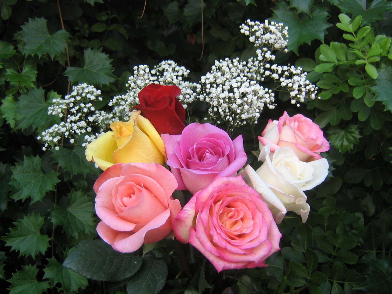 roses_bouquet_3609.jpg