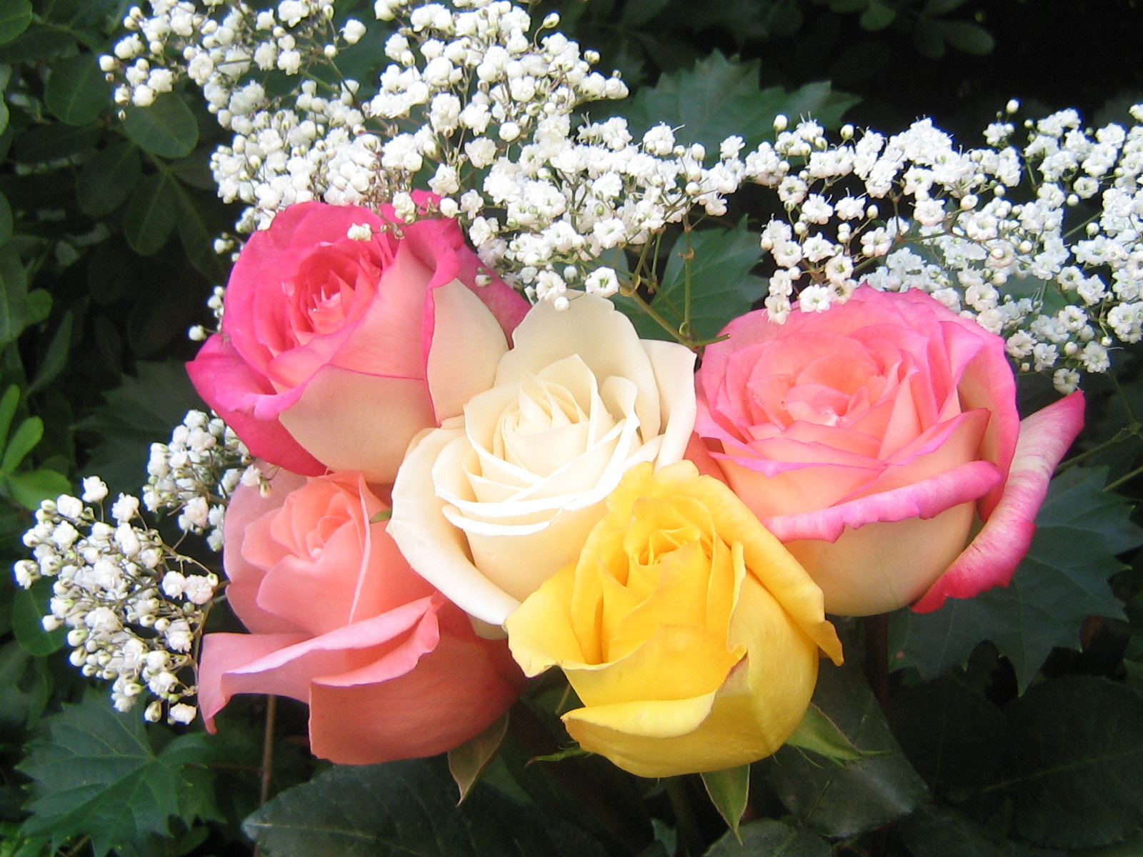 roses_bouquet_3637.jpg
