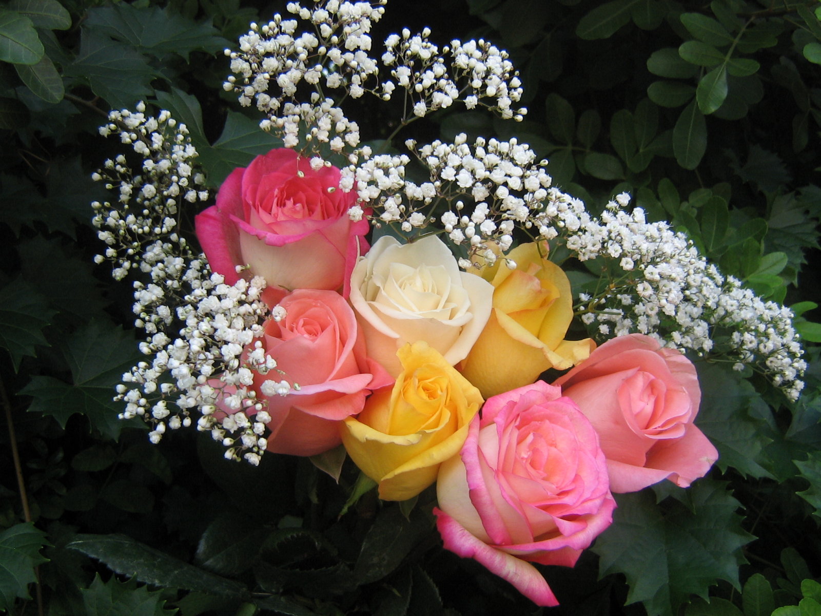 roses_bouquet_3641.jpg