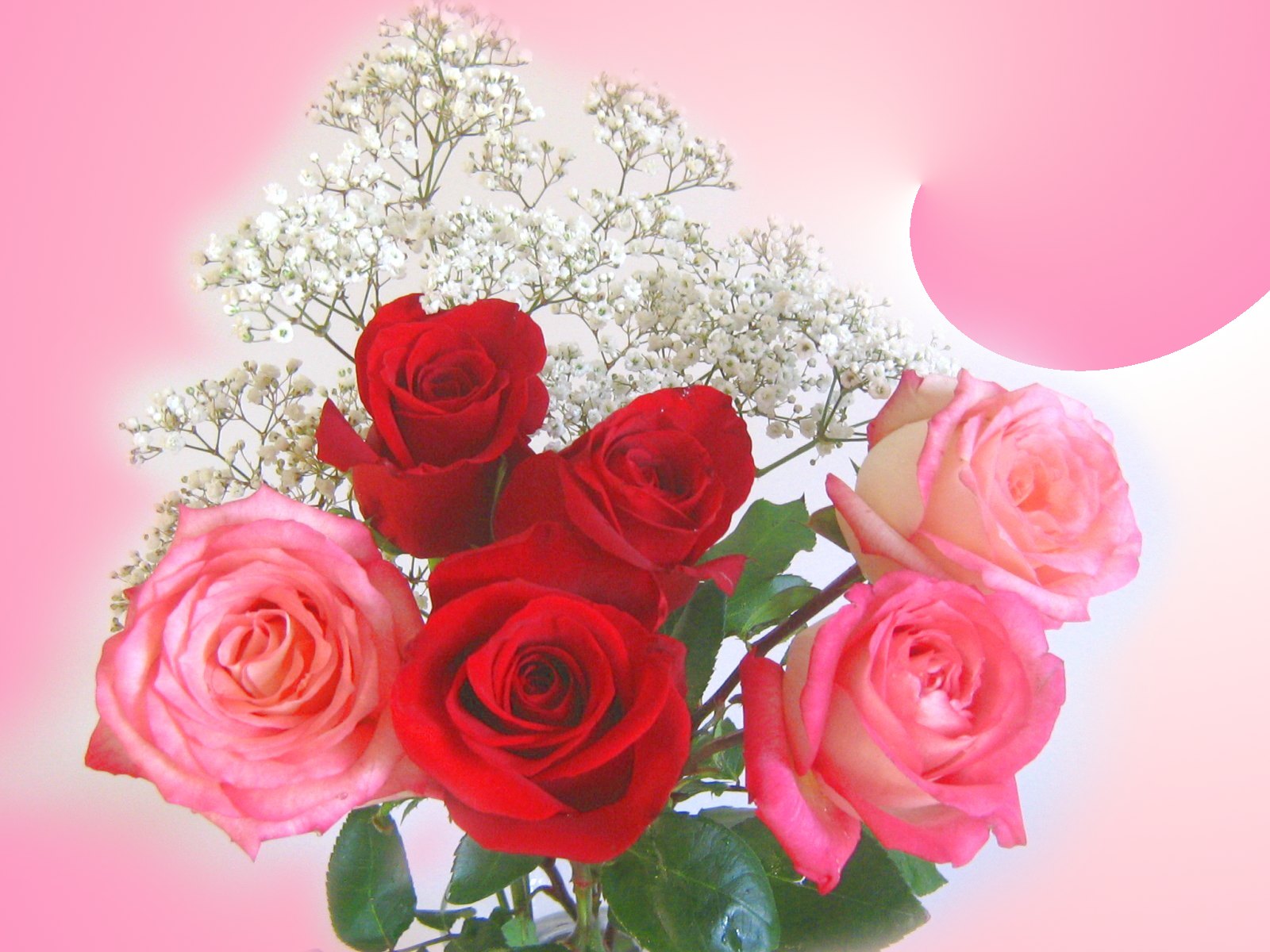 roses_bouquet_3665.jpg