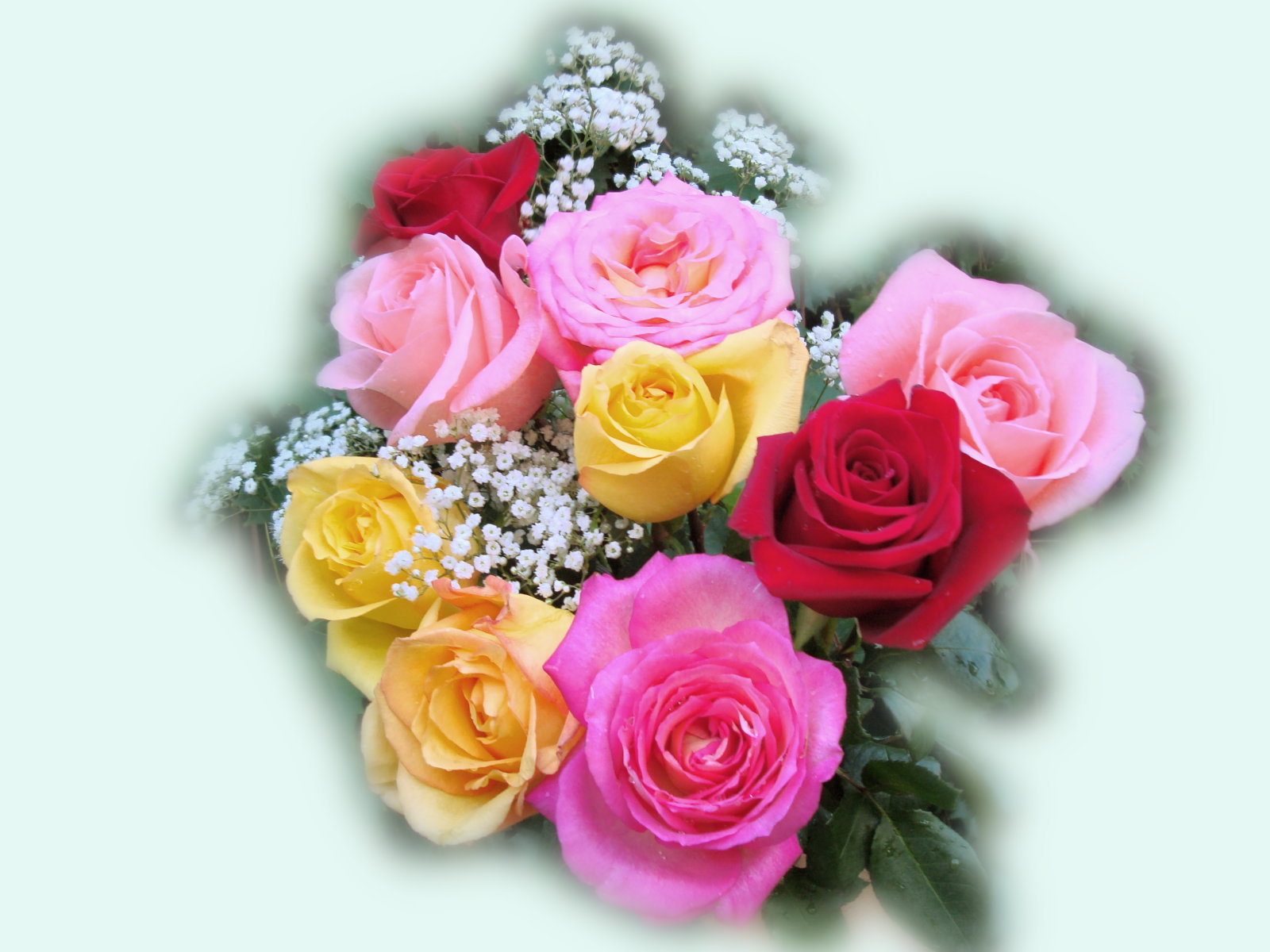 roses_bouquet_bg-dsc00029.jpg