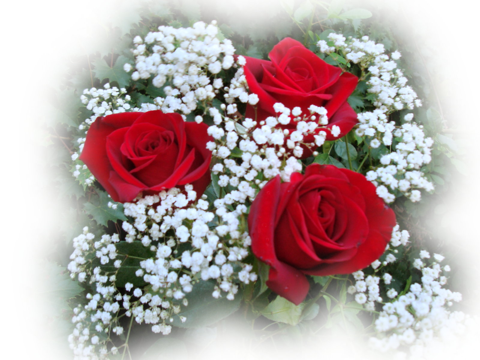 roses_bouquet_bg-dsc00051.jpg