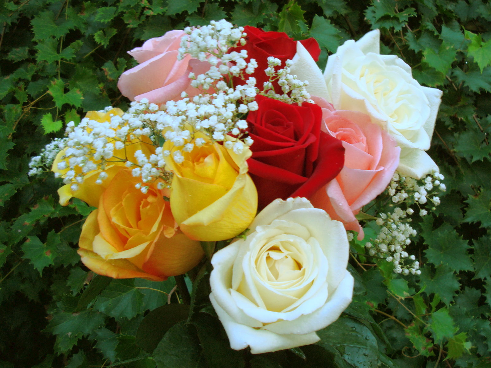 roses_bouquet_dsc00019.jpg