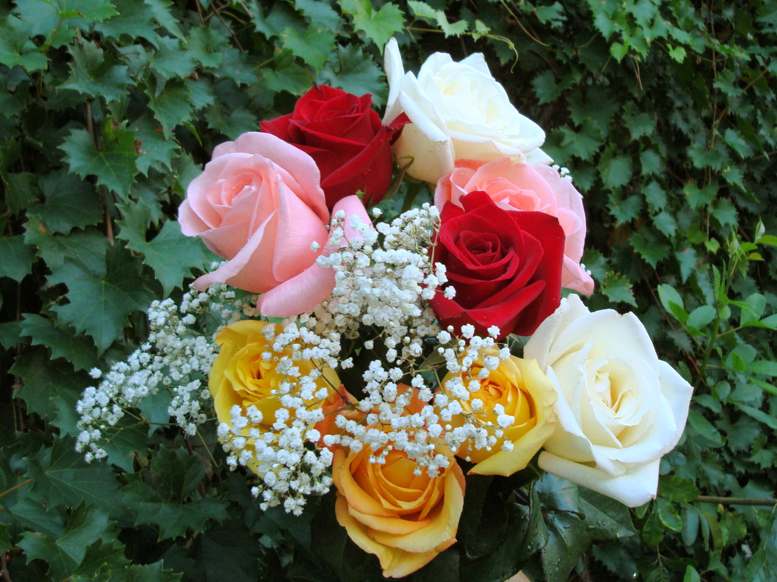 roses_bouquet_dsc00021.jpg