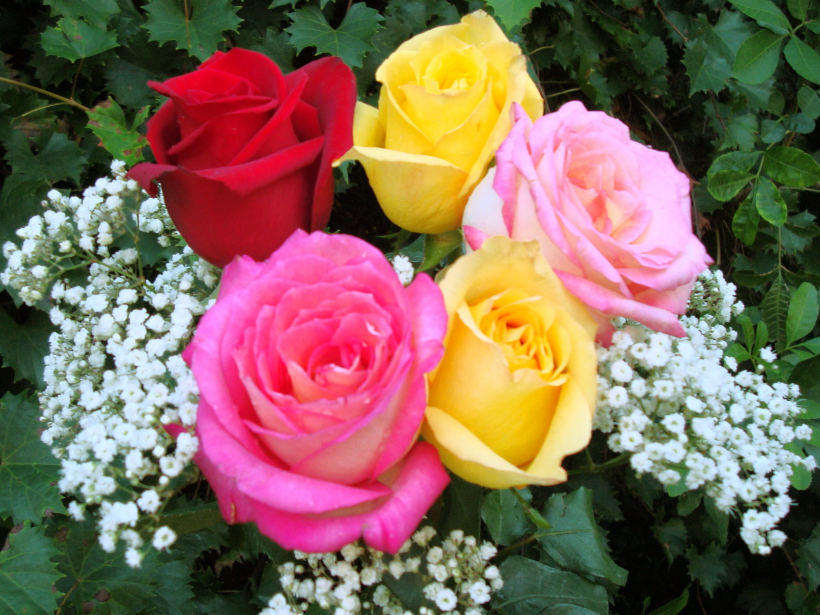 roses_bouquet_dsc00042.jpg