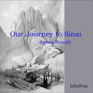 Our Journey to Sinai