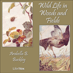 Wild_Life_Woods_Fields_1110 Thumbnail