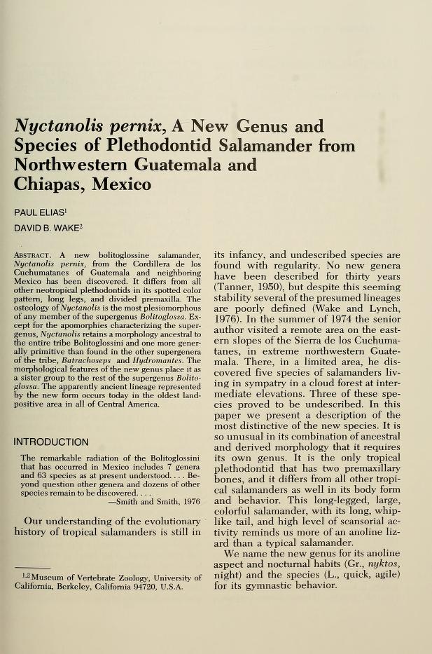 <i>Nyctanolis pernix</i>, a new genus and species of plethodontid salamander from northwestern Guatemala and Chiapas, Mexico