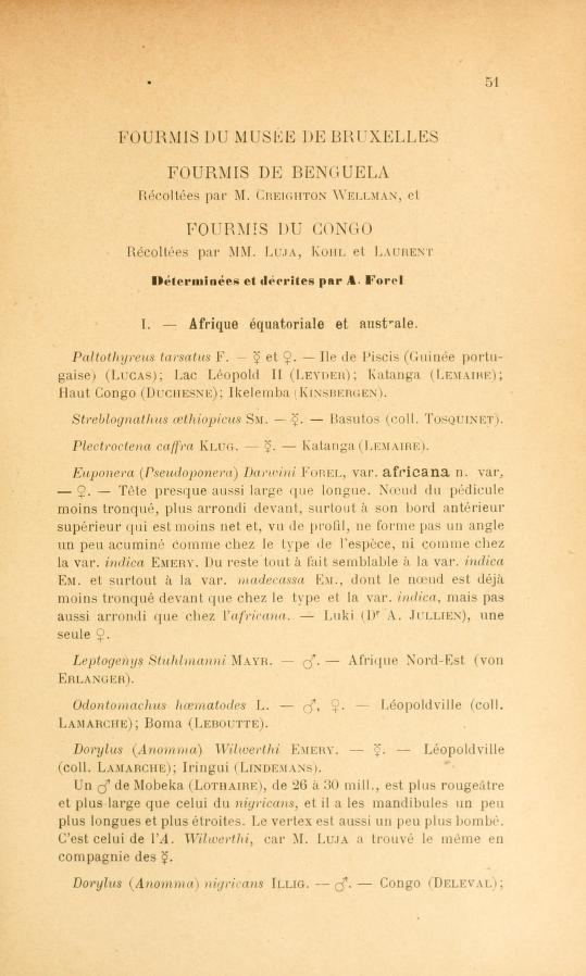 Media type: text; Forel 1909 Description: Fourmis du Musée de Bruxelles;