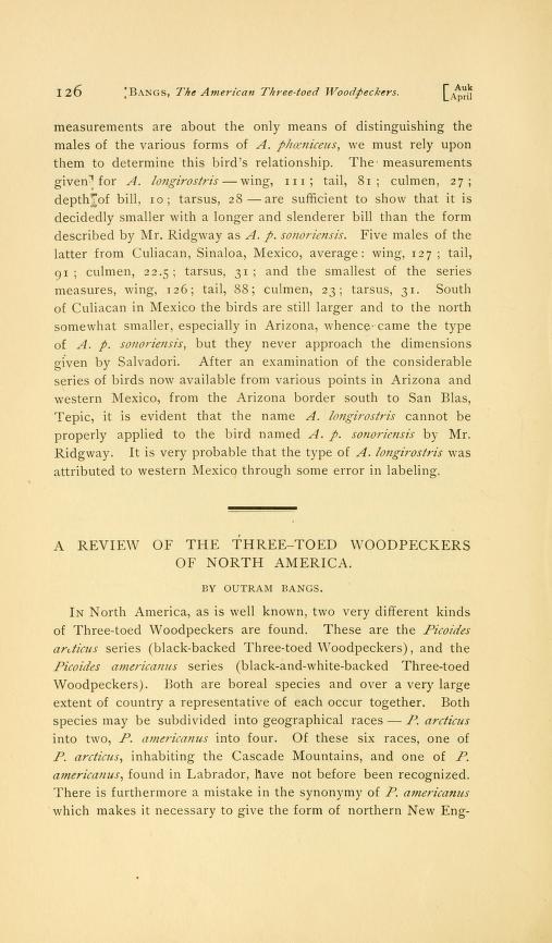 A Review of the Three-toed Woodpeckers of North America