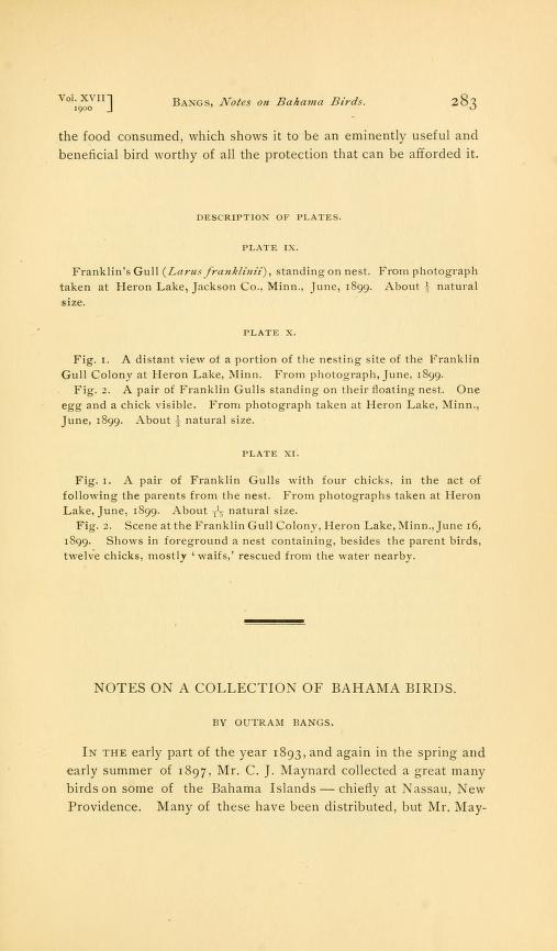 Media type: text; Bangs 1900 Description: Notes on a Collection of Bahama Birds;