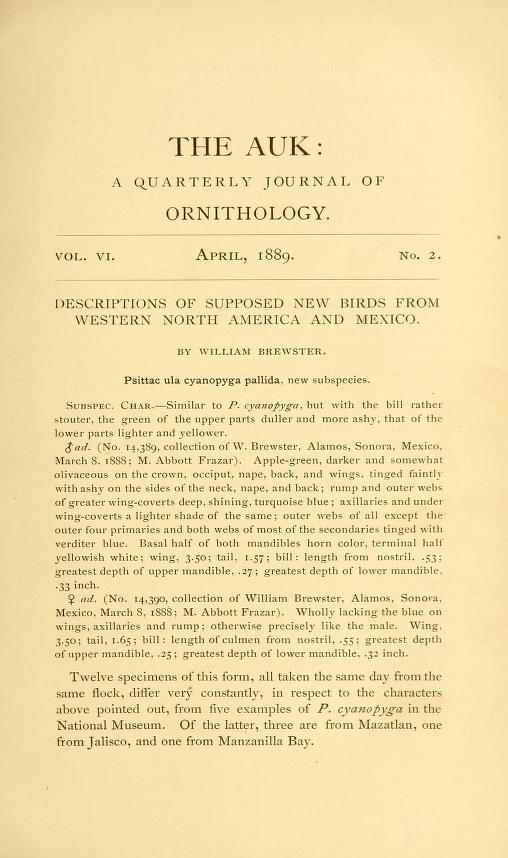 Media of type text, Brewster 1889. Description:Description of Supposed New Birds from Western North America and Mexico