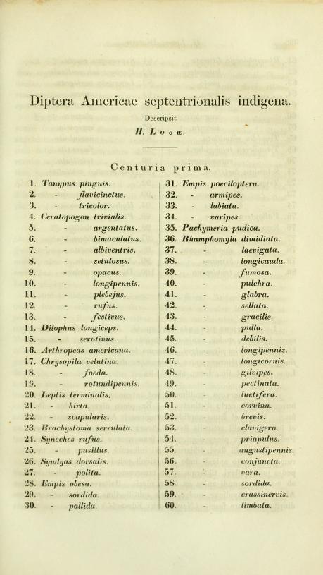 Media of type text, Loew 1861. Description:Loew (1861) Berl. Ent. Zeit. 5:307-357