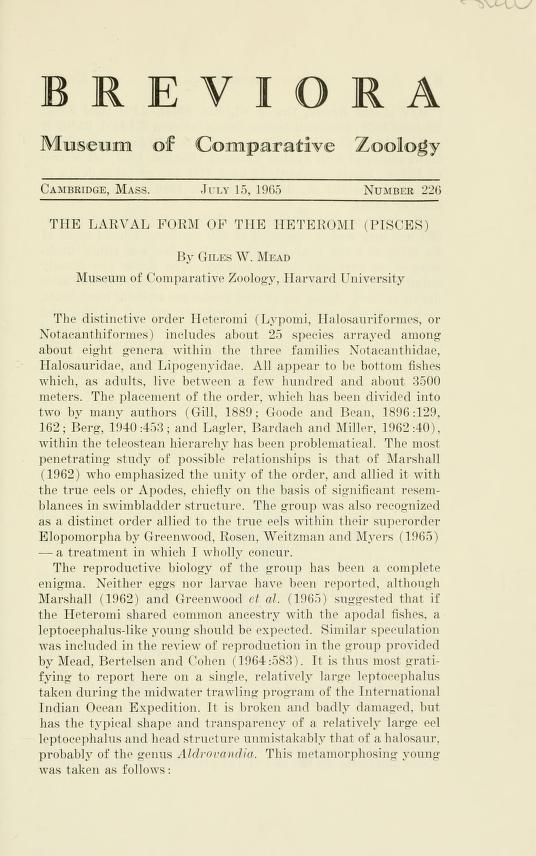Media type: text;  Mead 1965 Description: MCZ Breviora no. 226;