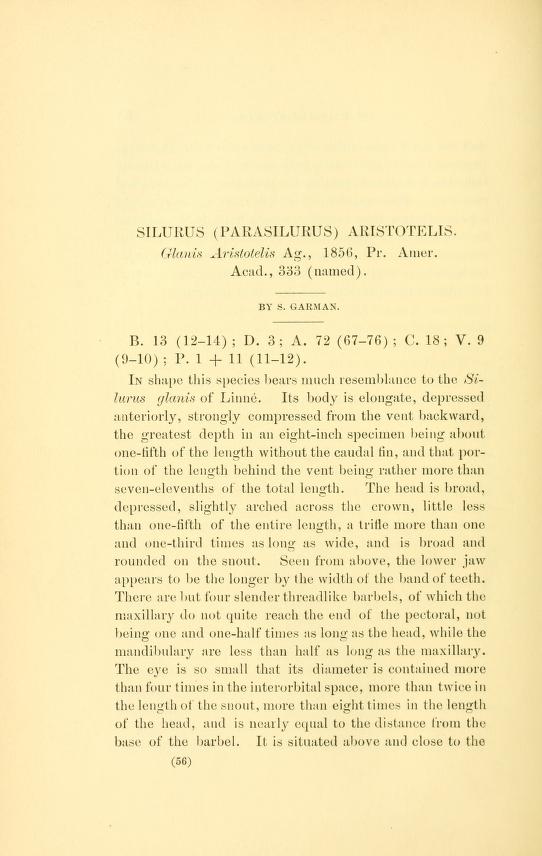 Media type: text; Garman 1890 Description: Garman, 1890;