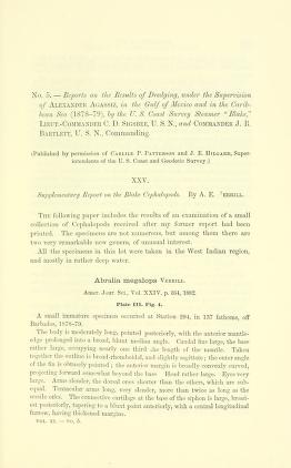 Media type: text; Verrill 1883 Description: MCZ Bulletin Vol. XI no. 5;