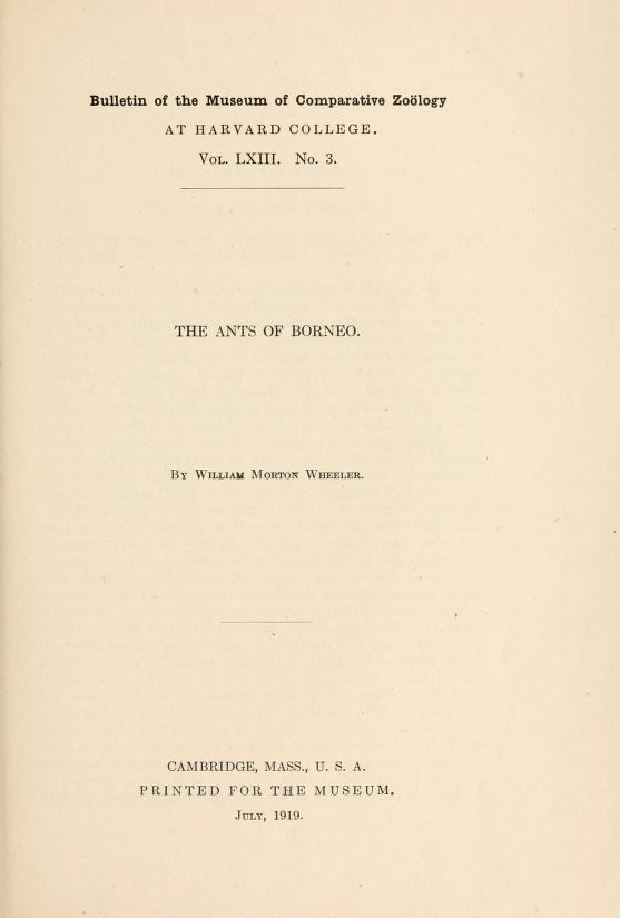 Media type: text; Wheeler 1919 Description: MCZ Bulletin Vol. LXIII no. 3;
