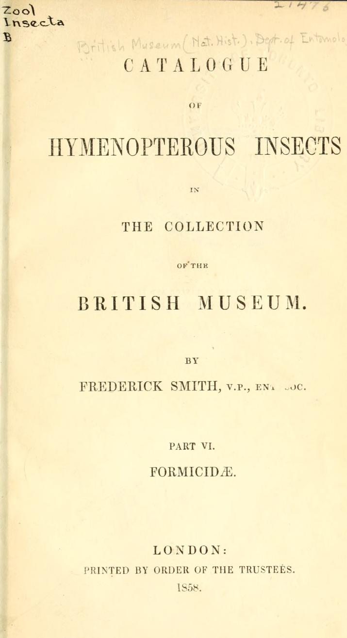 Media type: text; Smith 1858 Description: Formicidae;
