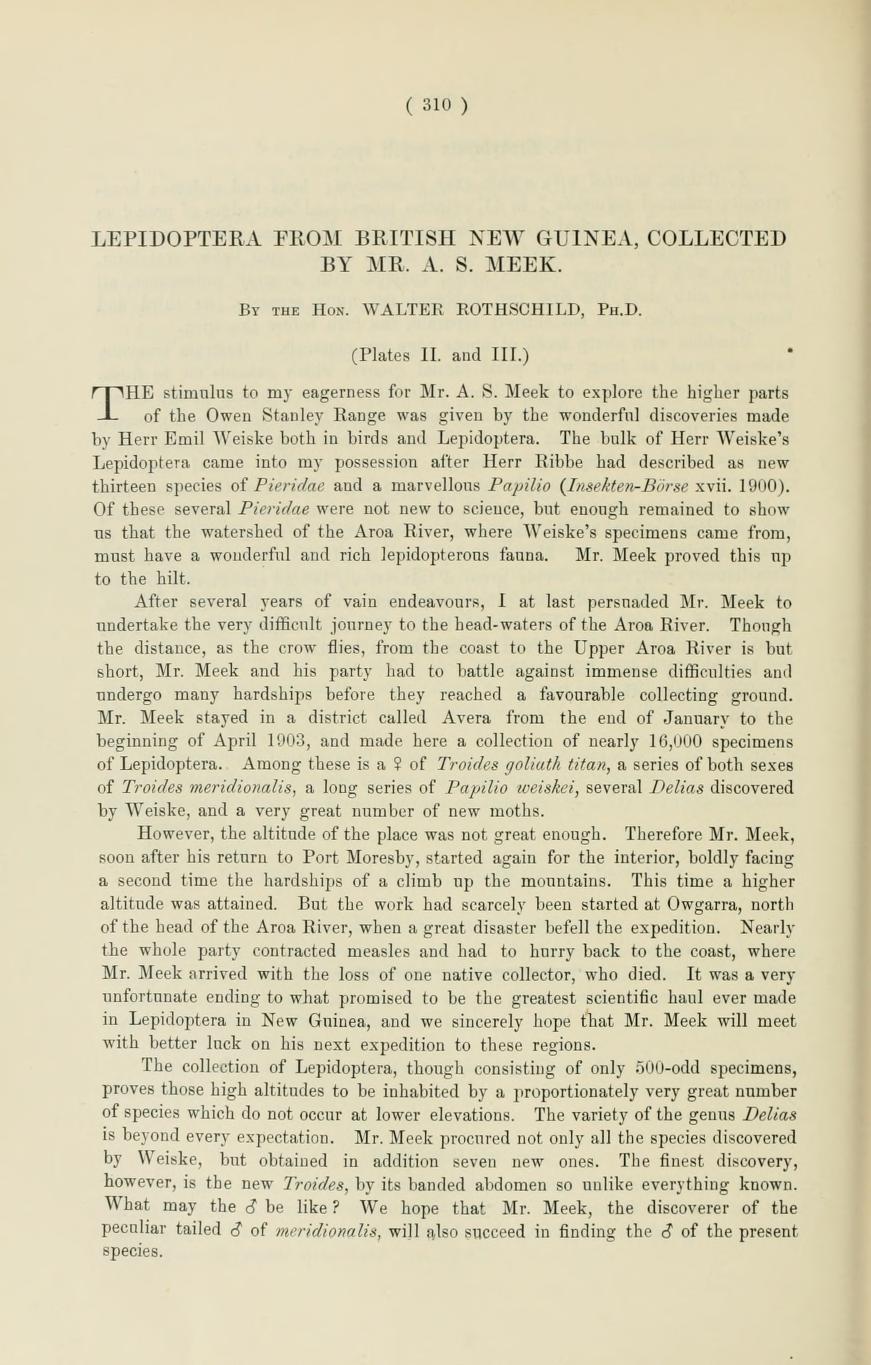Media type: text; Rothschild 1904 Description: Rothschild (1904), Novit. Zool. 11(1):310-322;