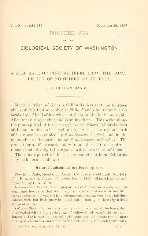 A new race of pine squirrel from the coast region of northern California