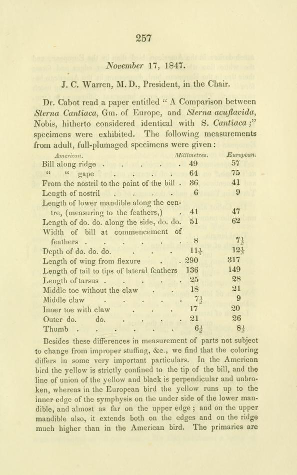 Media type: text, Cabot 1847 Description: A Comparison between Sterna Cantiaca, Gm. Of Europe, and Sterna acuflavida, Nobis, hitherto Considered Identical with S. Cantiaca