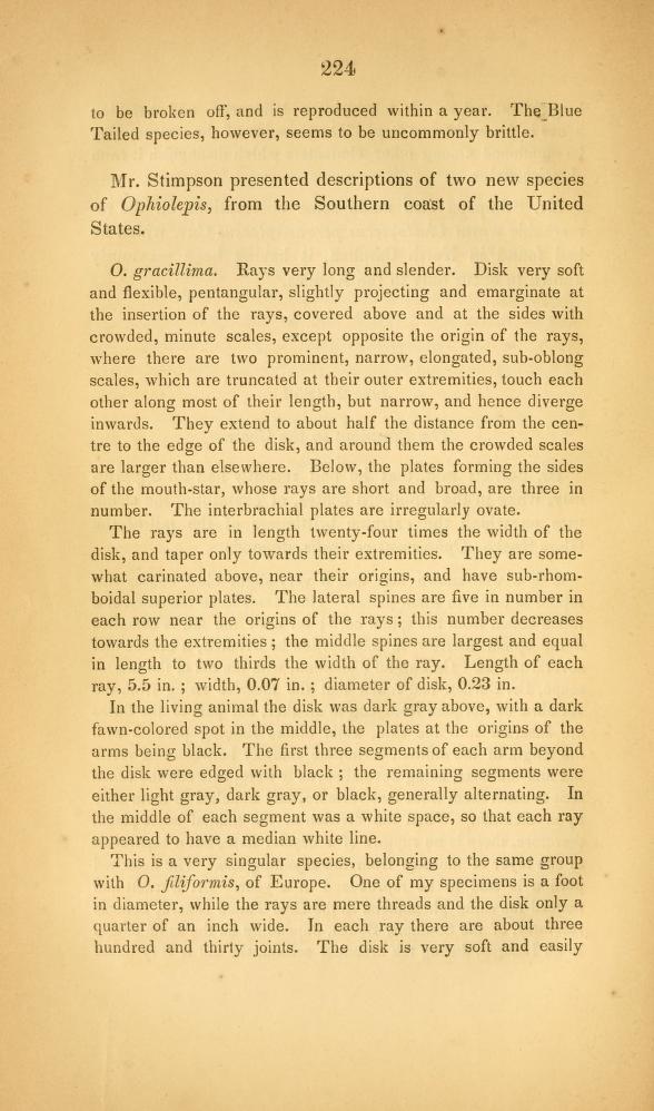 Media type: text, Stimpson 1854. Description: Description