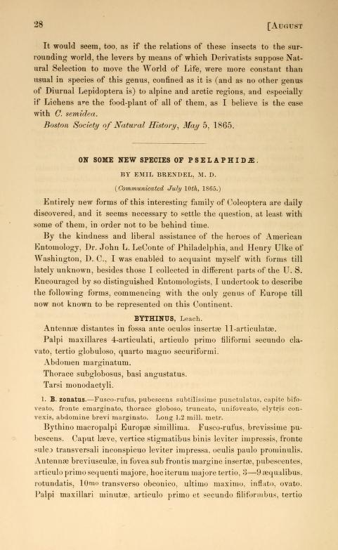 Media type: text; Brendel 1865 Description: On some new species of Pselaphidæ;