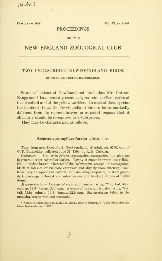 Media type: text, Batchelder 1918. Description: Two Undescribed Newfoundland Birds