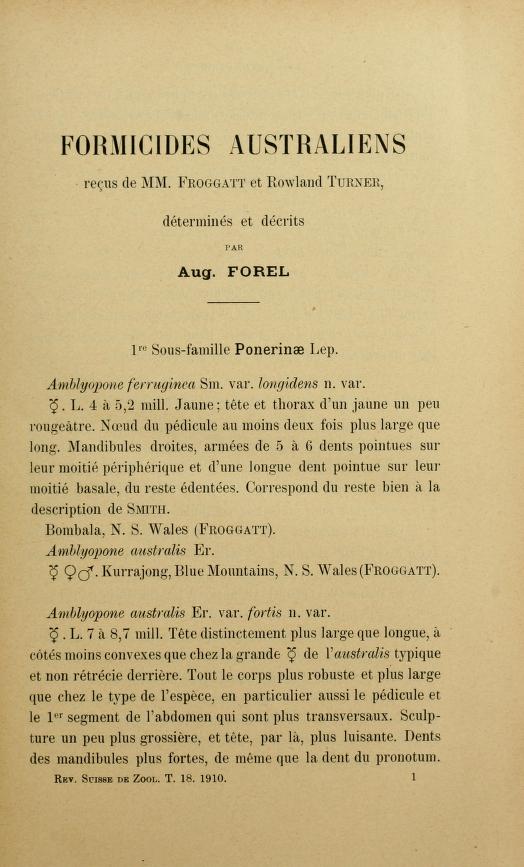 Media type: image; Forel 1910 Description: Formicides australiens reçus de MM;