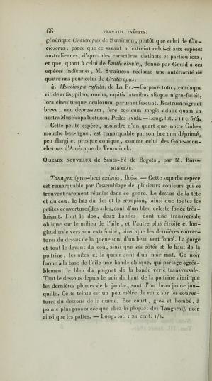 Media of type text, Boissonneau 1840. Description:Oiseaux de Santa-Fe de Bogota