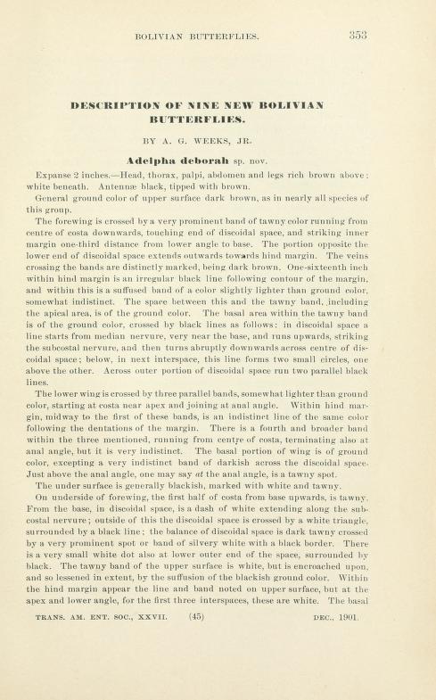 Media type: text;   Weeks 1901 Description: Weeks (1901), Trans. Am. Ent. Soc. 27:353-360;