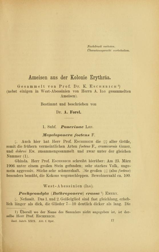 Media type: text; Forel 1910 Description: Ameisen aus der Kolonie Erythräa;