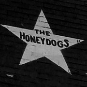 Honeydogs