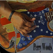 The Perry Woods Experience