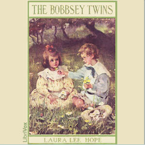 Bobbsey Twins or Merry Days Indoors and Out
