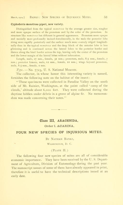 Four new species of injurious mites. J. New York Ent. Soc., 12 :'53-54, pi. 11.