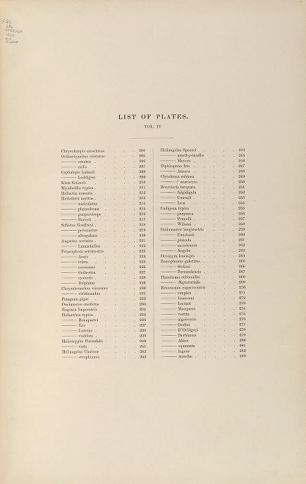 PDF File 1837 Monographie der Gattung Otis 3 Tafeln Rüppell Birds lithographs 