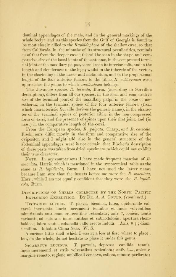 Media type: text, Gould 1861. Description: Descriptions of Shells collected by the North Pacific Exploring Expedition