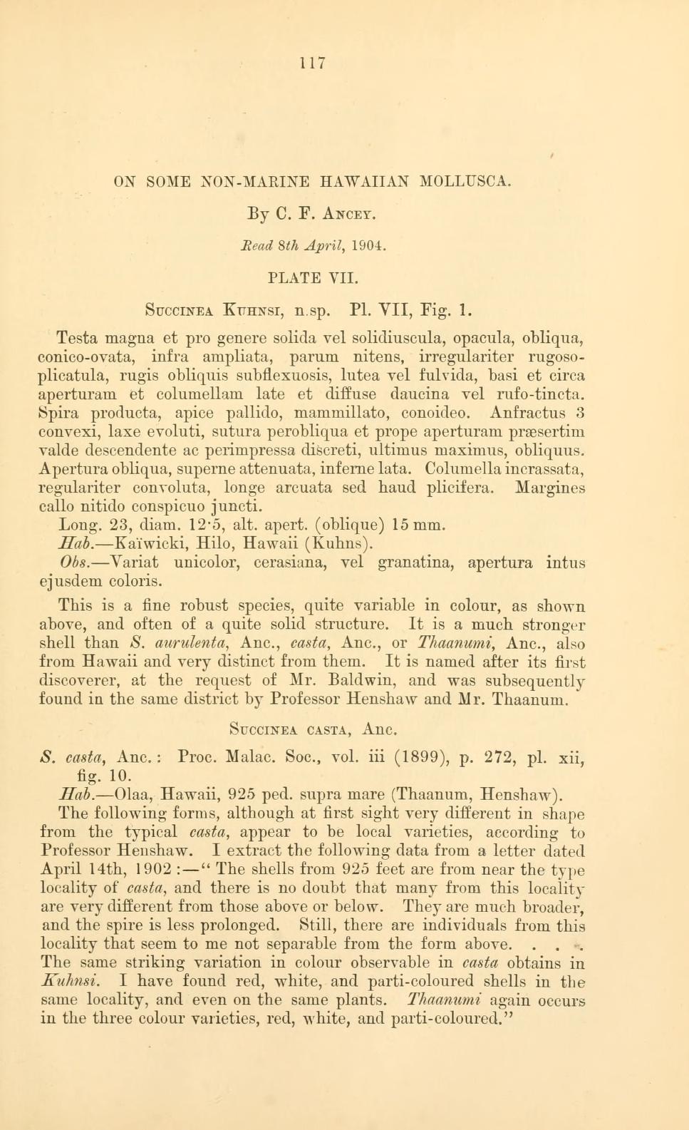Media type: text, Ancey 1904. Description: article